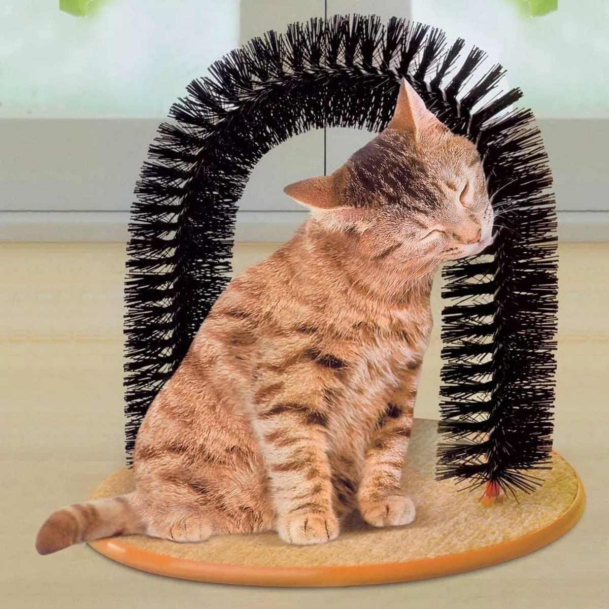Arco Masajeador Y Rascador Para Gatos